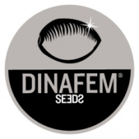 Dinafem Seeds (7)
