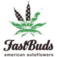 Fast Buds (38)