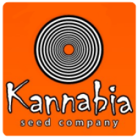 Kannabia Seeds (3)