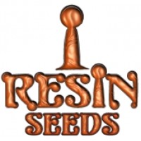 Resin Seeds (2)